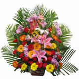 ݸҵ