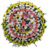 ݸҵ