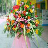 ݸҵ