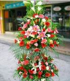 ݸҵ