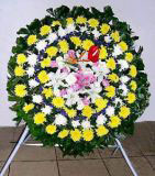 ݸҵ