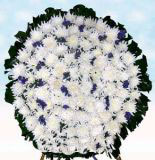 ݸҵ