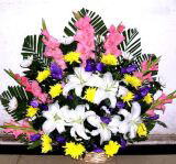 ݸҵ